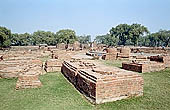 The archeologica excavations of the site of Sarnath 